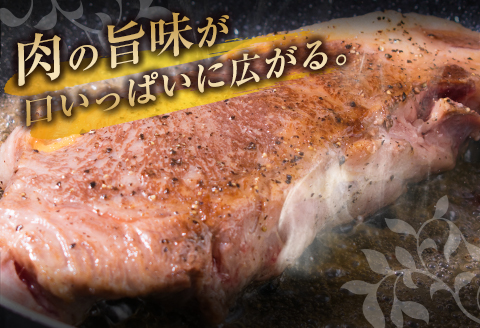 訳あり 数量限定 特大サイズ 1ポンド 黒毛和牛 サーロイン ステーキ 計450g 牛肉 国産 焼肉 鉄板焼き キャンプ BBQ グランピング アウトドア 人気 おすすめ 贅沢 ご褒美 記念日 お祝 