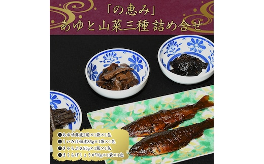 
										
										国産の厳選素材にこだわった 鮎と山菜三種佃煮の詰め合わせ「の恵み」（鮎甘露煮・きくらげしょうが・しいたけ佃煮・きゃらぶき） 【 お取り寄せ グルメ 和食 おかず 惣菜 魚 煮魚 魚料理 ご飯のお供 肴 おつまみ 晩酌 詰合せ セット 東北 山形県 】 012-G-MH002
									