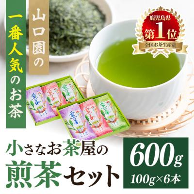 ふるさと納税 曽於市 <お茶生産量日本一の鹿児島県産!>小さいお茶屋の煎茶600g!
