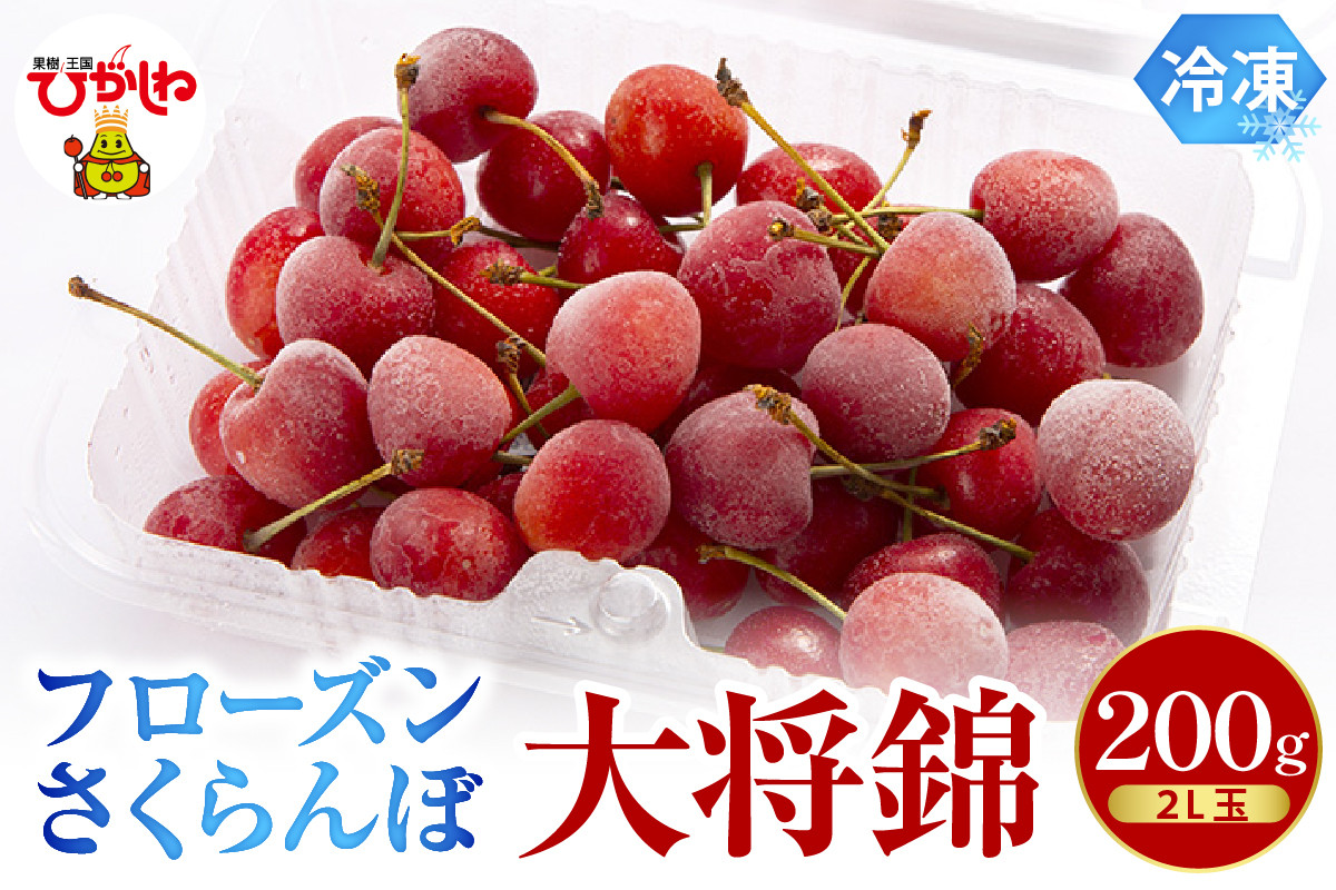 
フローズンさくらんぼ「大将錦」200g入 有限会社佐藤錦提供 山形県 東根市 hi004-hi029-016r
