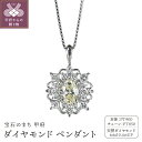 【ふるさと納税】 ペンダント ネックレス ダイヤモンド ジュエリー アクセサリー レディース 0.25ctUP 0.15ct PT900 PT850 アンティーク風 ギフト プレゼント ジュエリーケース付 鑑別書付 保証書付 k120-079