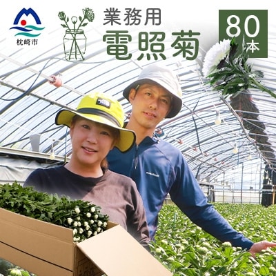 電照栽培 高品質【輪菊 白】80本 70～80cm 電照菊 キク 業務用