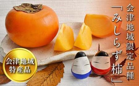 【先行予約】みしらず柿 (2Lサイズ) 7.5kg詰め F4D-0208