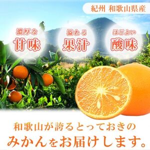 【2024年4月中旬より発送】初夏のみかん　なつみ5kg【日高町】【配送不可地域：離島】【1216978】