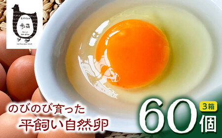 放し飼い 自然卵 「歩荷」 箱60個入 / 卵 たまご 鶏卵 玉子 平飼い / 稲沢市 / 平飼い自然卵歩荷 [BMBM003]