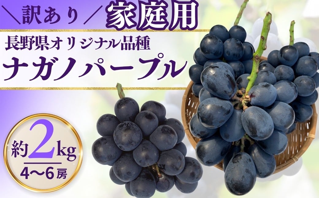 
            【2026年先行予約】訳あり ナガノパープル 家庭用 約2kg（4~6房）※最低1.8kg以上 ｜ 果物 フルーツ 黒ぶどう 葡萄 ブドウ 種無し 種なし 皮ごと 千曲市 長野県 信州
          