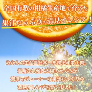 【2024年4月より発送】とにかくジューシー清見オレンジ　5kg【日高町】【1216976】