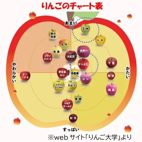 りんご 【 11月発送 】 贈答用 ぐんま名月 約 3kg　リンゴ 林檎 青森りんご 糖度 13度 甘い 酸味 デザート フルーツ 果物 お取り寄せ 産地直送 旬 季節限定 弘果物流 青森県 西目屋村
