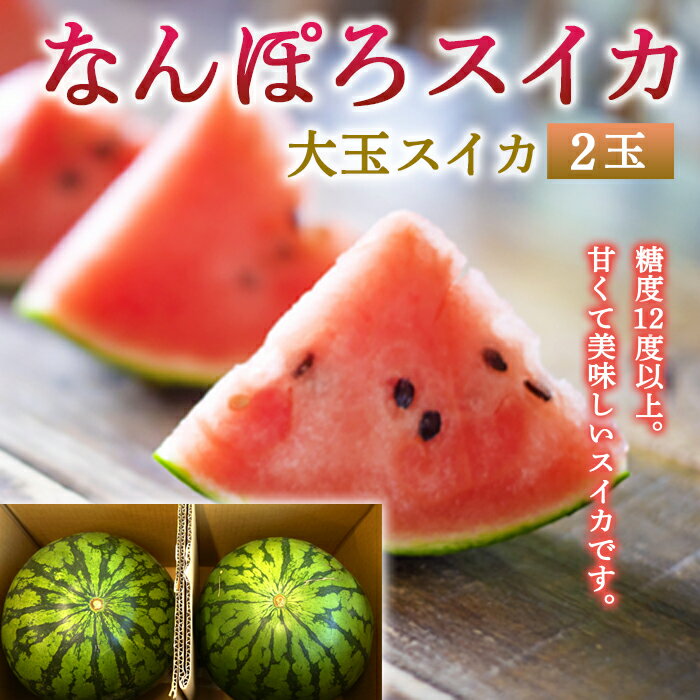 【ふるさと納税】なんぽろスイカ 2玉 大玉 令和7年度産 8月発送開始 北海道産 南幌町 NP1-076