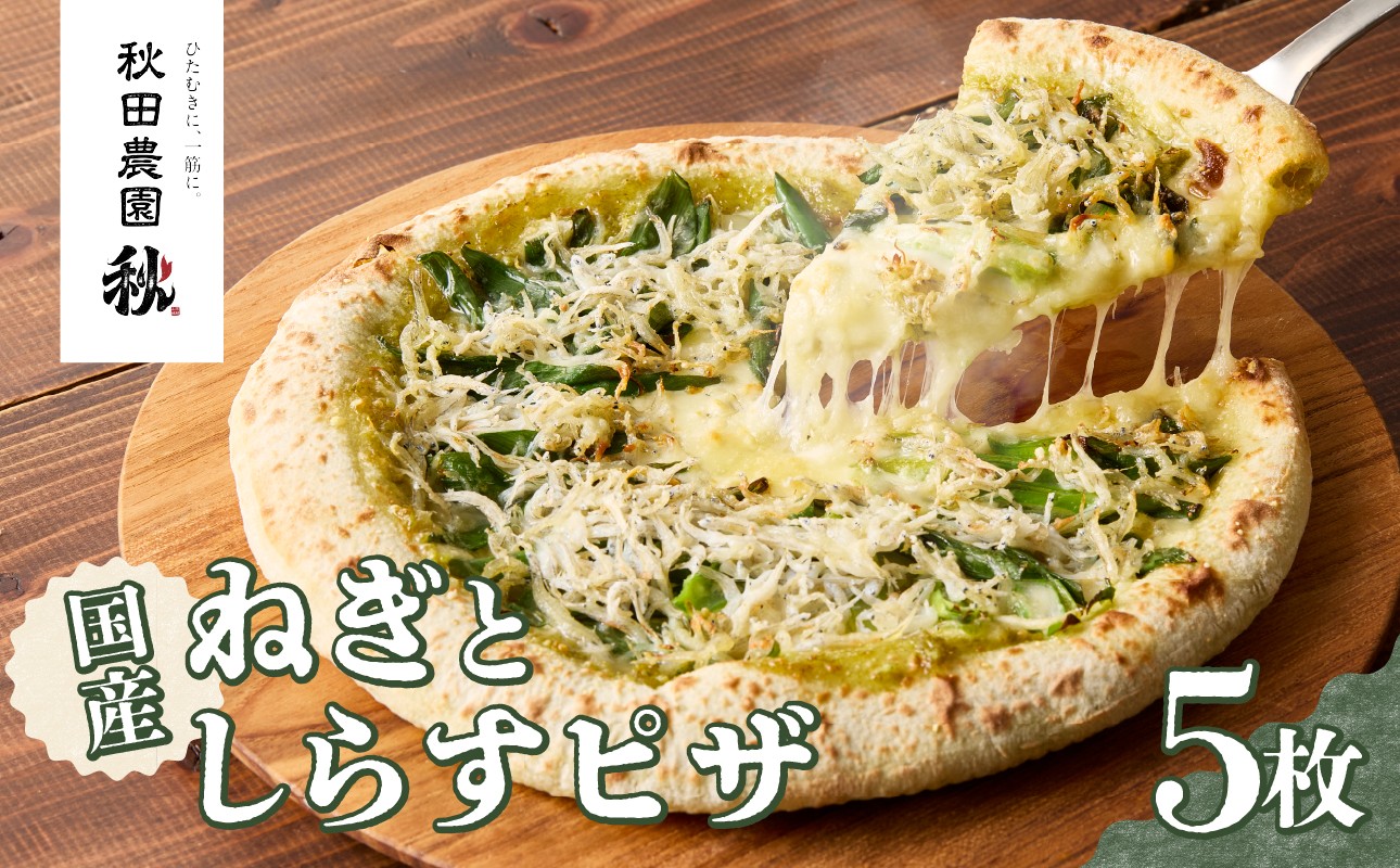 
                  京都山城のねぎと国産しらすピザ 5枚セット 山城のねぎ ねぎ ピザ しらす お試し 手軽 家庭用 自宅用 個包装 本格的 【001-17-05】
                