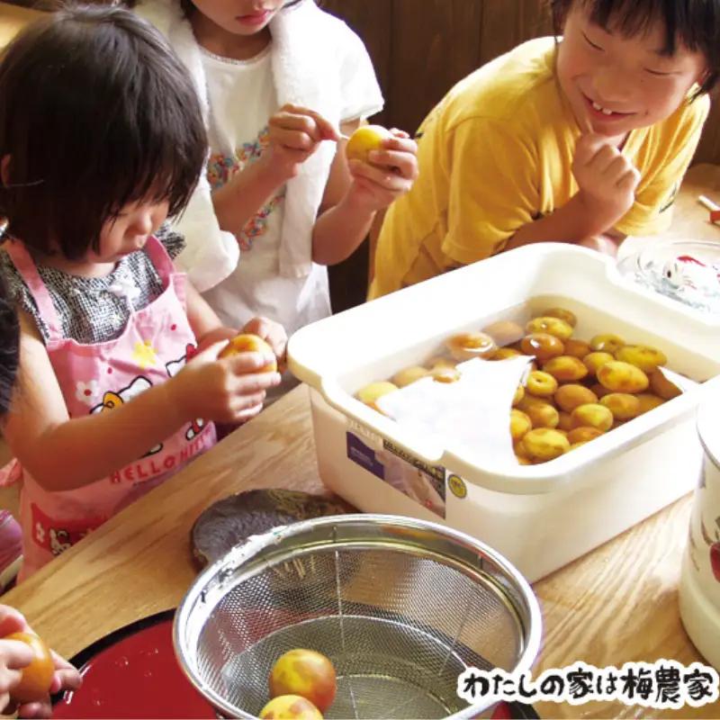 梅ジャムづくり体験ペアチケット iwasho010A【iwasho010A】
