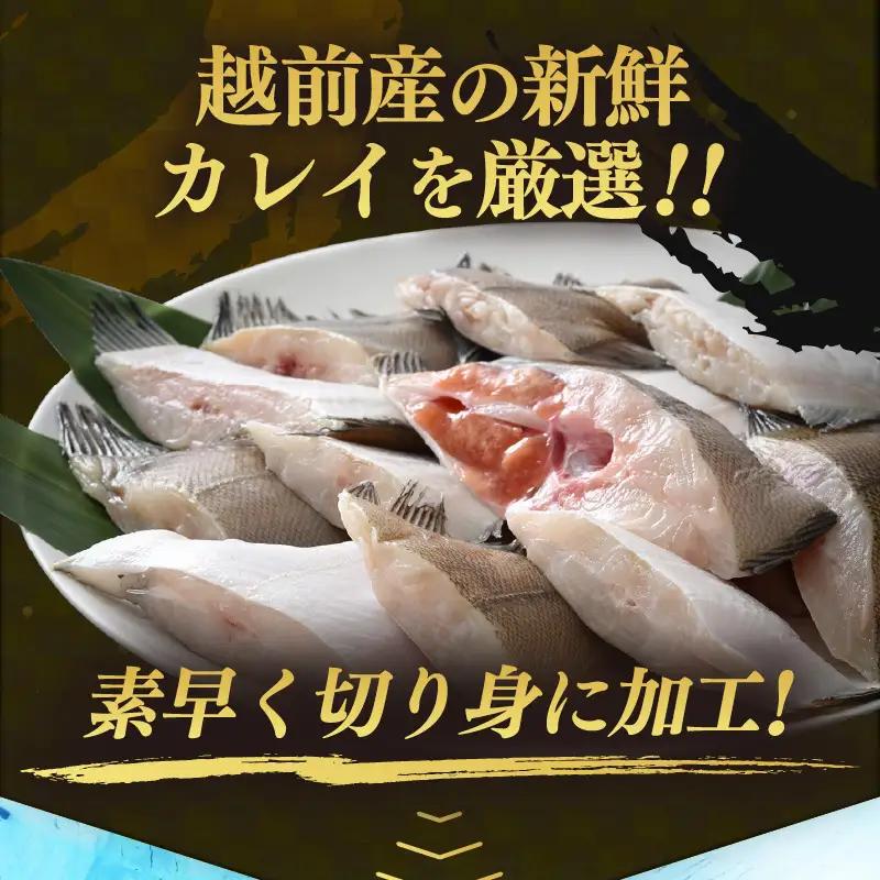 定期便 ≪6ヶ月連続お届け≫ 使い勝手抜群！福井県網元漁師が厳選 肉厚な越前産カレイの切り身（無塩）1kg × 6回 計6kg 【 たっぷり 焼き魚 煮付け バラ凍結便利 】 [e15-b012]