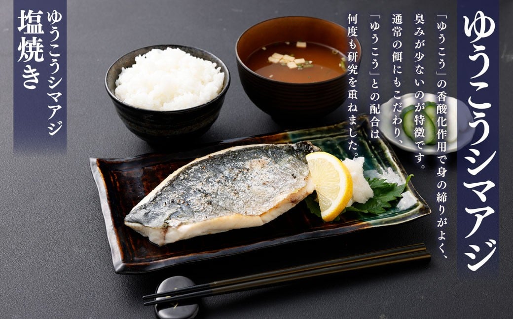 【14営業日以内発送】【premiumfishbrand】 ゆうこうシマアジ （活〆） ×1尾 （約1kg） シマアジ しまあじ 鯵 アジ あじ ゆうこう ブランド魚 魚 海鮮 九州 長崎県 長崎市 