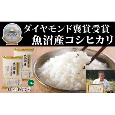ふるさと納税 津南町 【令和7年産】最高級魚沼産こしひかり【ダイヤモンド褒賞受賞　特別栽培米】10kg(5kg×2)