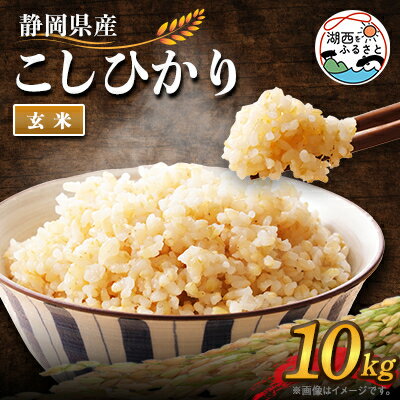 【ふるさと納税】【2025年9月発送】こしひかり 玄米 10kg【1537423】