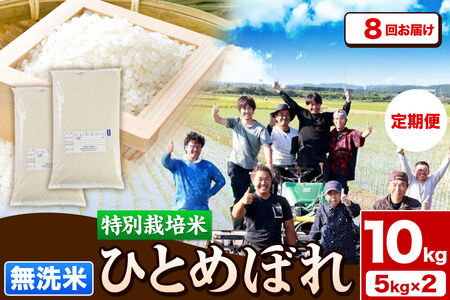 《定期便8ヶ月》令和7年産【無洗米】特別栽培米 ひとめぼれ 10kg（5kg×2袋）秋田県産 [ひとめぼれ 米 お米 白米 精米 無洗米 特別栽培米 ブランド米 食卓 秋田県産 秋田県 由利本荘市]