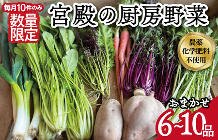 野菜おまかせセット【宮殿の厨房野菜 六月農園】野菜詰め合わせ N5