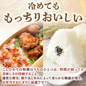 【こしひかり】新米 10kg 6回定期便 令和7年産こしひかり AG009-00-02_navi