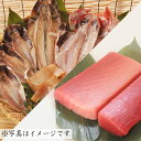 【ふるさと納税】B41-003 魚音おまかせ干物＆まぐろセット