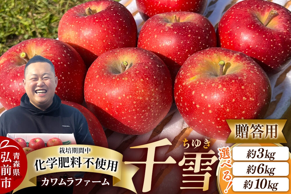 
                  【26年10月下旬～発送】りんご 千雪【贈答用】【選べる約 3kg／6kg／10kg】カワムラファーム 青森 果物 フルーツ 林檎 リンゴ くだもの [先行受付 アップル おいしい ちゆき お歳暮 お中元 ギフト プレゼント 果実 果物 赤色 贈り物 美味 林檎 弘前市]
                