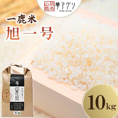 ふるさと納税 山鹿市 一鹿米 旭一号 白米 10kg【株式会社夢アグリ】《山鹿市》