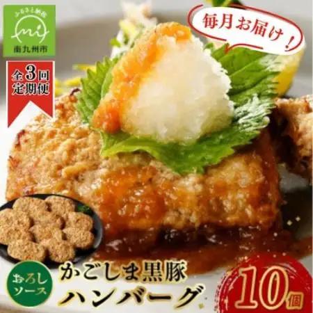 【毎月定期便】かごしま黒豚ハンバーグおろしソース10個(南九州市)全3回【配送不可地域：離島】【4086898】