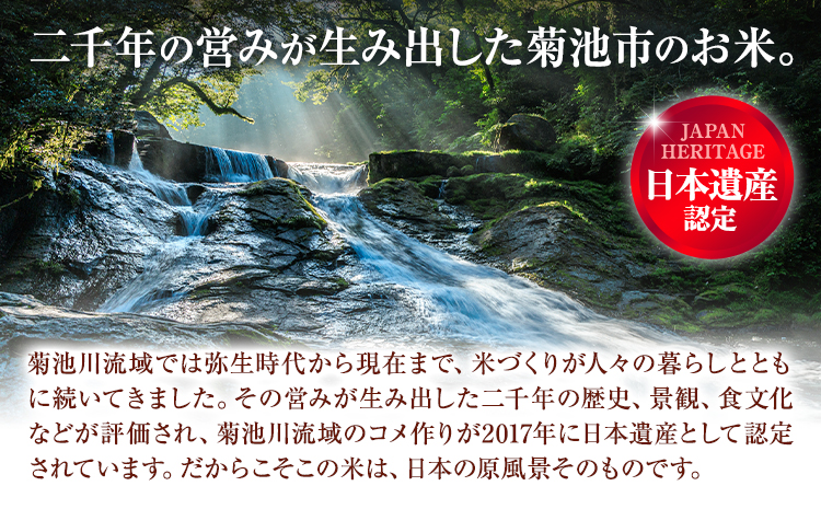 令和7年産 きくち棚田無洗米 10kg ひのひかり《30日以内に出荷予定(土日祝除く)》熊本県 菊池市 米 こめ ヒノヒカリ お米 ブランド米 単一原料米 菊池
