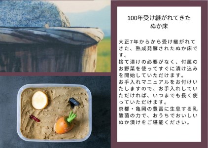 漬物 旬野菜とかんたんぬか漬セット 漬物