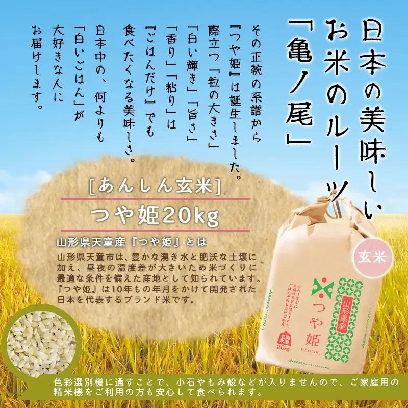 【10月下旬発送】令和8年産 あんしん玄米 つや姫 20kg 米 玄米 山形