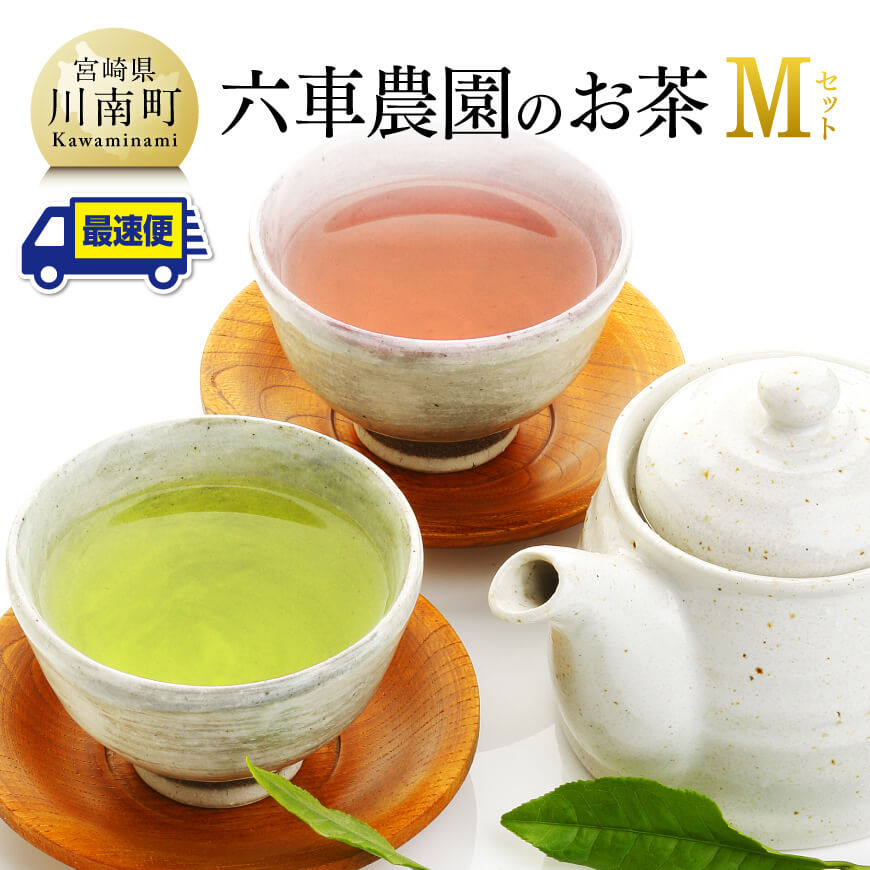 【ふるさと納税】 ※レビューキャンペーン※ 「六車農園」お茶Mセット - 九州産 宮崎県産 川南町産 茶 お茶 日本茶 国産茶 彩翠深蒸煎茶 かぶせ茶 茶葉 ティーバッグ ボトル お湯出し 水出し 飲みやすい おうち時間 送料無料 G8702