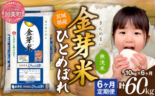 【定期便 6回】 金芽米 無洗米 令和7年産 宮城県産 ひとめぼれ 計60kg( 10kg ×6回) [カメイ 宮城県 加美町 km-my-knm10-t6-r7] 6ヶ月 米 お米 こめ コメ 精米 白米 きんめまい