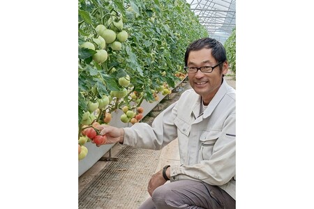京丹後産・京トマト 4kg（12～24玉） 春夏発送