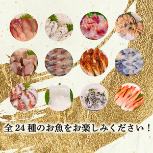 【 刺身 】 高級刺身定期便 12回 EY