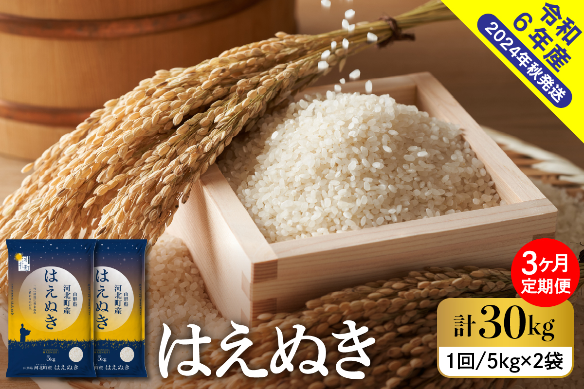 【令和6年産米】※2025年1月中旬スタート※ はえぬき30kg（10kg×3ヶ月）定期便 山形県産 【米COMEかほく協同組合】