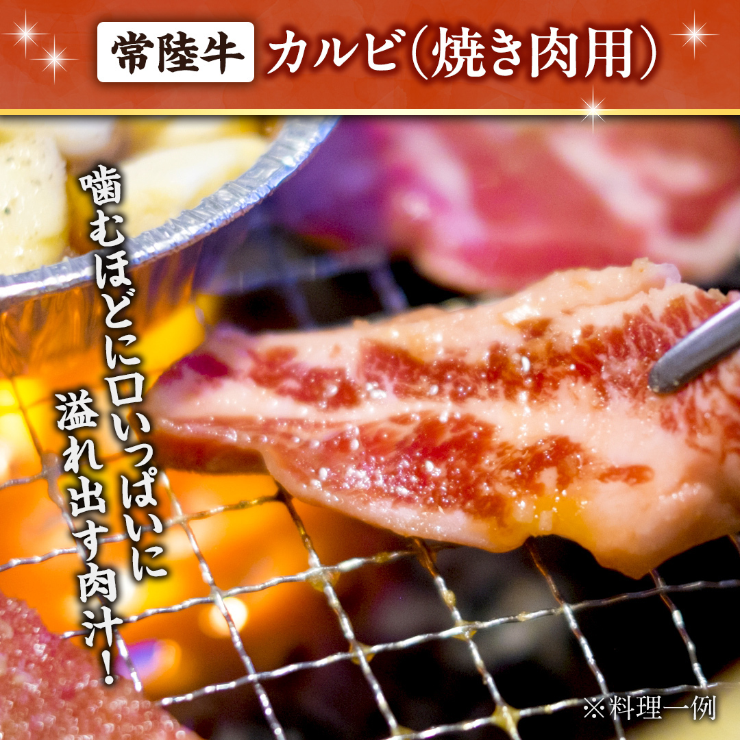  【 スピード発送 】常陸牛 焼肉用カルビ 1.2kg (茨城県共通返礼品) ひたちぎゅう カルビ焼肉 牛肉 肉 お肉 精肉 国産牛 ブランド牛 和牛 カルビ 牛カルビ 使い勝手 冷凍 焼肉 BBQ 