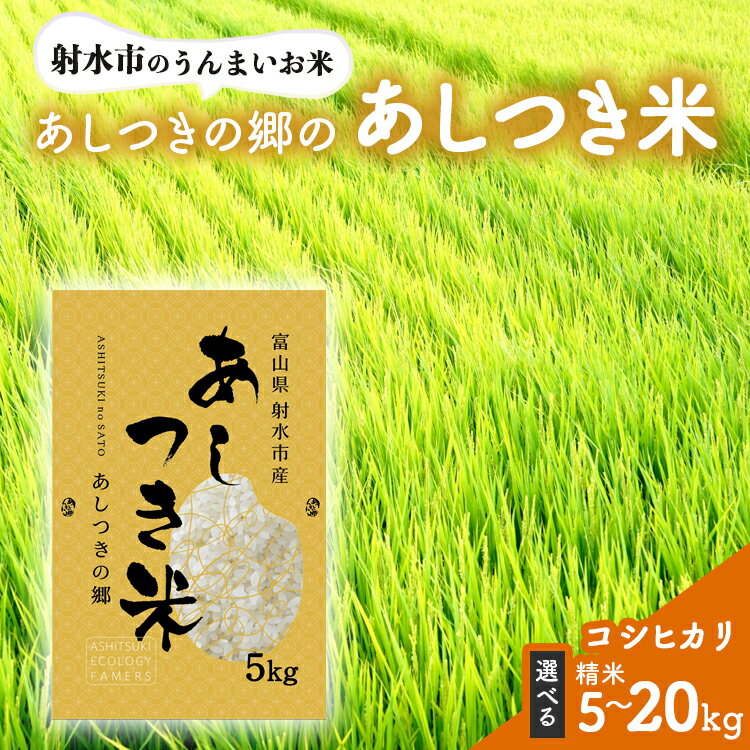 【ふるさと納税】＼選べる内容量／コシヒカリ【射水市】【環境保全型農業】【スマート農業】【射水の美味しいお米】あしつきの郷のあしつき米 R7年度産 コシヒカリ【精米】 ※離島への配送不可