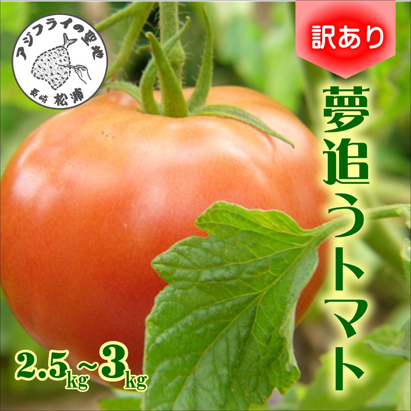 訳あり！ご家庭用に大活躍　夢追うトマト2.5kg～3kg( トマト とまと ジューシー リコピン 期間限定 松浦市 松浦産 大玉トマト 訳ありトマト )【A7-061】