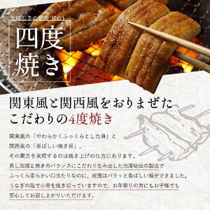 【最速発送】高知県 仁淀川産 うなぎ 蒲焼 2尾 （約400g） 鰻 鰻蒲焼 鰻蒲焼き 完全無投薬 仁淀川 国産 うなぎ蒲焼き ギフトセット うな重 ひつまぶし ウナギ 蒲焼 蒲焼き 鰻蒲焼き うなぎ