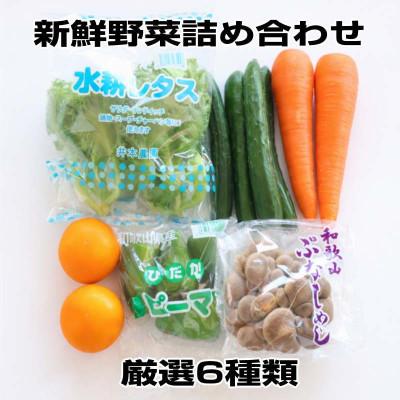ふるさと納税 印南町 旬の新鮮野菜セット 6品目【野菜詰め合わせ】