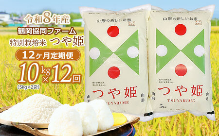 【令和8年産先行予約】特別栽培米つや姫 10kg (5kg×2袋)×12ヶ月【定期便】　鶴岡協同ファーム