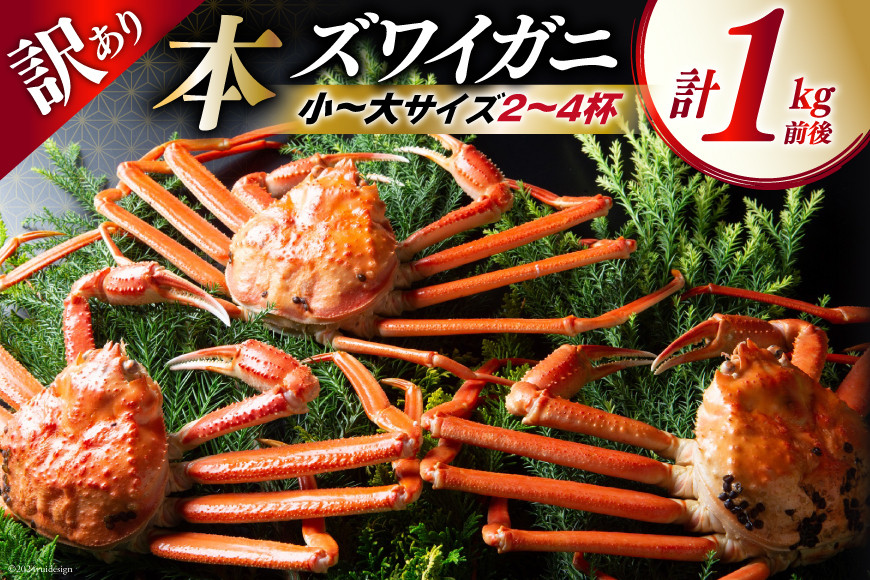 
            【漁師厳選】 訳あり 本ズワイガニ ボイル済 2～4杯 計1kg前後 [聖徳丸 富山県 朝日町 34310515] 海鮮 魚介類 カニ ズワイガニ ずわい蟹 ズワイ蟹 ずわい ズワイ ボイル 冷蔵 ご褒美
          