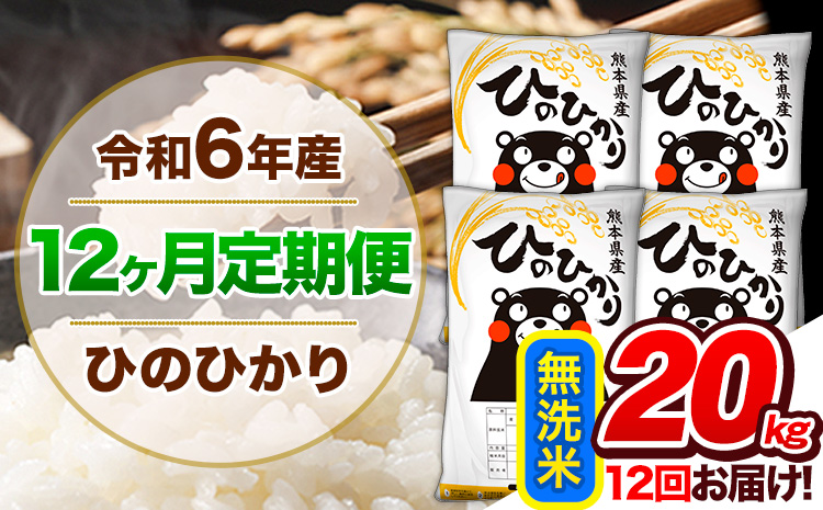 【12ヶ月定期便】令和6年産 定期便 無洗米 ひのひかり 20kg 《申込み翌月から発送》令和6年産 熊本県産 ふるさと納税 精米 ひの 米 こめ ふるさとのうぜい ヒノヒカリ コメ 熊本米 ひのもり