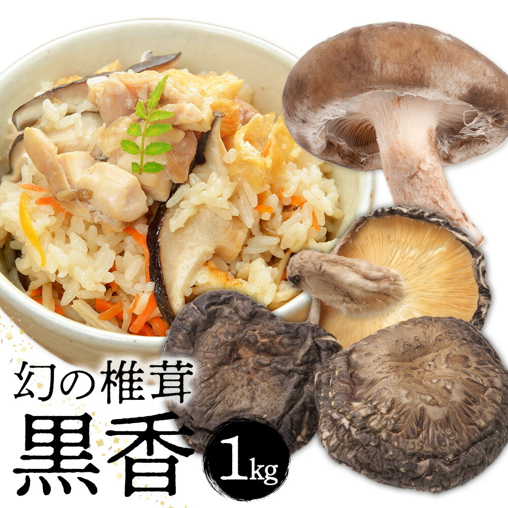 【ふるさと納税】しいたけ 幻の椎茸 黒香 1kg 有限会社きくち観光物産館 《90日以内に出荷予定(土日祝除く)》熊本県 菊池市 希少品種 乾燥椎茸 小粒 ジャミ バレ しいたけ きのこ ご家庭用 規格外品 訳あり 送料無料
