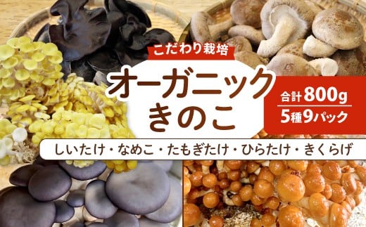 
            オーガニックきのこバラエティ小セット約800g（5種9パック入）【きのこ セット キノコ 詰め合わせ しいたけ なめこ きくらげ ひらたけ たもぎ茸 鳥取県産】
          