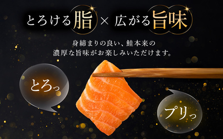 ＜メディア掲載多数＞木更津産おかそだち生サーモントラウトフィレ250g×4P(真空パック) KJ009 | サーモン 生サーモン 鮭 さけ サケ シャケ ふるさと納税 真空パック 真空 生サーモントラ