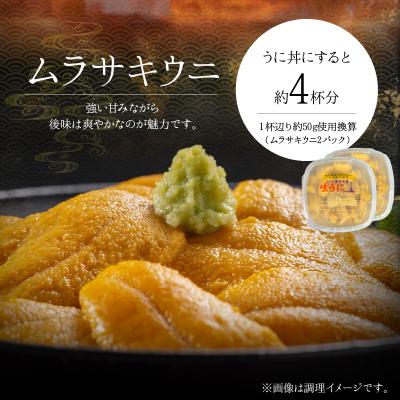 ふるさと納税 余市町 【2025年夏発送】塩水ウニ【ムラサキウニ】 100g×2パック 計200g_Y037-0326 |  | 02