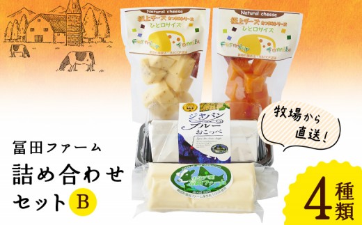 
牧場から直送『チーズ詰め合わせセットＢ』
