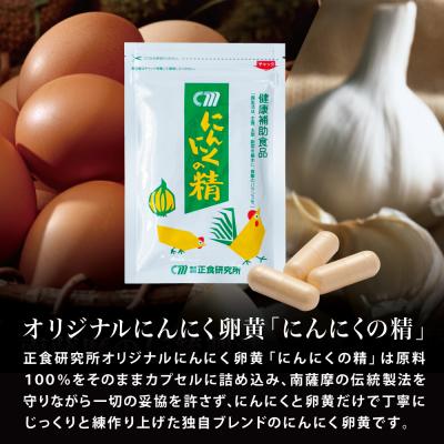 ふるさと納税 南さつま市 【健康補助食品】にんにくの精(31粒入り×3袋) |  | 01