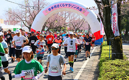 第33回幸手市さくらマラソン大会出走権（駐車券付）（種目：10km） - チケット 券 スポーツ 運動  参加 