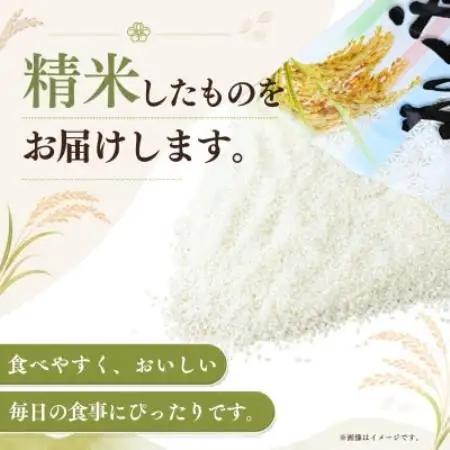 令和8年産 新米 お米屋さんのコシヒカリ 精米 5kg(1袋)【1787837】